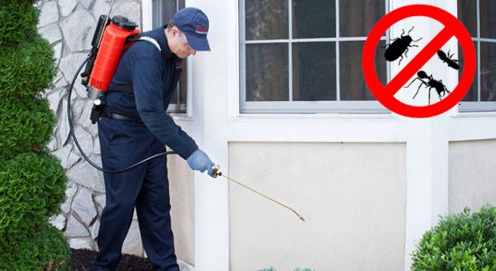 Villakent Karınca İlaçlama böcek ilaçlama ve haşere kontrolü — ilaclama-tr.com